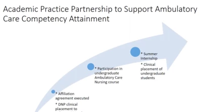 Academic-Practice Partnership to Support the Health Plan Nursing Role