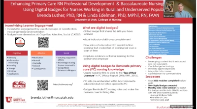 Enhancing Primary Care Baccalaureate Nursing Education and RN Professional Development: Using Digital Badges for Nurses Working in Rural and Underserved Populations