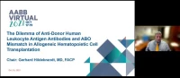 AM21-37: The Dilemma of Anti - Donor Human Leukocyte Antigen Antibodies and ABO Mismatch in Allogeneic Hematopoietic Cell Transplantation