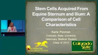 Stem Cells Acquired from Equine Sternum and Ilium: A Comparison of Cell Characteristics icon