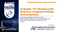 Prime Time: The Relationship Between Imaging Findings and Lameness Q&A/Panel