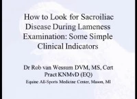 How to Look for Sacroiliac Disease During Lameness Examination: Some Simple Clinical Indicators