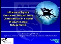 Influence of Aquatic Exercise on Postural Sway Characteristics in a Model of Equine Carpal Osteoarthritis