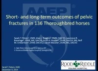 Short- and Long-Term Outcomes of Pelvic Fractures in 136 Thoroughbreds (2000-2010)