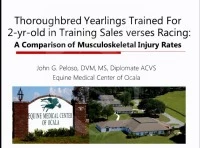 Comparison of Training-Related Injury Rates Between Juvenile Thoroughbreds Trained for Two-Year-Old Sales and Those Trained Solely for Racing