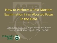 How to Perform a Postmortem Examination of an Aborted Fetus in the Field