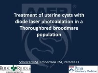 Treatment of Uterine Cysts With Diode Laser Photoablation in a Thoroughbred Broodmare Population