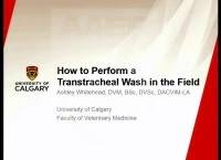 How to Perform a Transtracheal Wash in the Field