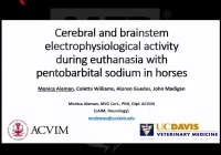 Cerebral and Brainstem Electrophysiological Activity During Euthanasia With Pentobarbital Sodium in Horses