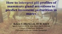 How to Interpret pH Profiles of Mammary Gland Secretions to Predict Imminent Parturition in Mares icon