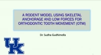 Harry Sicher Research Award Lecture: A Rodent Model using Skeletal Anchorage and Low Forces for Orthodontic Tooth Movement