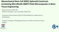 Thomas M. Graber Award of Special Merit Lecture: Mesenchymal Stem Cell (MSC) Spheroid Constructs Containing Microfluidic BMP2-PLGA Microcapsules in Bone Tissue Engineering