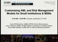 Customizing AML and Risk Management Models for Small Institutions and MSBs icon