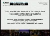 Data and Model Validation for Suspicious Transaction Monitoring Systems icon