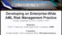 Developing an Enterprise-Wide AML Risk Management Practice - 1 icon
