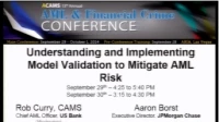 Understanding and Implementing Model Validation to Mitigate AML Risk - 2 icon