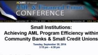 Small Institutions: Achieving AML Program Efficiency within Community Banks and Small Credit Unions icon