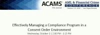 Effectively Managing a Compliance Program in a Consent Order Environment icon