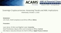 Sovereign Cryptocurrencies: Assessing Trends and AML Implications  icon