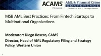 MSB AML Best Practices: From Fintech Startups to Multinational Organizations  icon