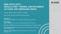 MSB Spotlight: Regulatory Trends, Enforcement Actions and Emerging Risks icon