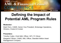 Registered Investment Advisers (RIA) Focus: Defining the Impact of Potential AML Program Rules  icon