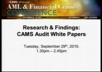 Research and Findings: CAMS-Audit White Papers icon