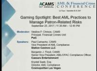 Gaming Spotlight: Best AML Practices to Manage Patron-Related Risks  icon