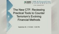 The New CTF: Reviewing Practical Tools to Counter Terrorism’s Evolving Financing Methods  icon