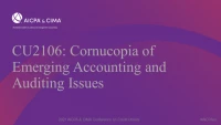 Cornucopia of Emerging Accounting and Auditing Issues icon
