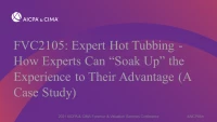 Expert Hot Tubbing - How Experts Can “Soak Up” the Experience to Their Advantage (A Case Study) icon