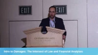 Intro to Damages: The Intersect of Law and Financial Analyses icon