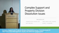 Complex Support and Property Division Dissolution Issues: Considerations of Alternative Asset Management, Equity and Deferred Compensation icon