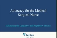 Advocacy for the Medical-Surgical Nurse: Influencing the Legislative and Regulatory Process
