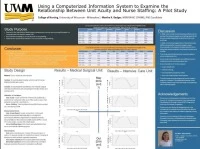 Using a Computerized Information System to Examine the Relationship Between Unit Patient Acuity and Nurse Staffing: A Pilot Study