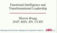 Structures and Practices to Promote and Support Nurse Managers: Emotional Intelligence and Transformational Leadership
