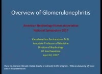 Differentiation of Glomerular Diseases and Their Diagnosis