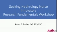 *SEEKING Nephrology Nursing Innovators: Research Fundamentals Workshop (*Supporting Education Empowerment and Knowledge Innovation in Nursing Grants)