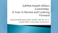 GAPNA Health Affairs Committee: A Year in Review and Looking Forward