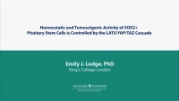 Homeostatic and Tumourigenic Activity of SOX2+ Pituitary Stem Cells is Controlled by the LATS/YAP/TAZ Cascade icon