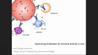 Optimizing Antibodies for Antiviral Activity in vivo icon