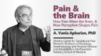 Pain & the Brain: How Pain Alters the Brain, and How Perception Shapes Pain