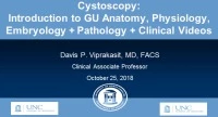 Cystoscopy Workshop 