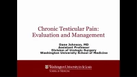 Chronic Testicular Pain: Evaluation and Management