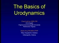 Basic Urodynamics in a Nutshell